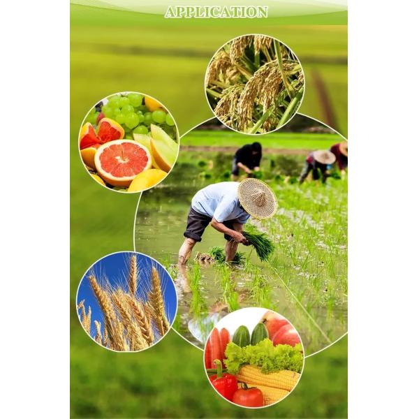 Agricultural Soil Conditioner Fertilizer Sulphur Bentonite Powder For Fertilizer