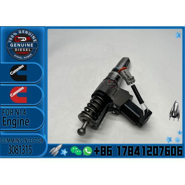QSN14 N14 NT855 N855 engine CELECT fuel injector 3080931 3411381 3411767 3081315 3411767 f With Good Quality