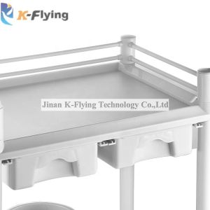 Simple And Durable ABS Clinical Treatment Medical Trolley Cart