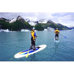 Commercial Cool Snow Sup Inflatable SUP Board Ski Custom Made