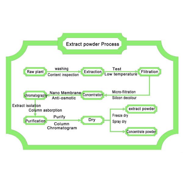 100% Nature Flavonoid 5%-40% UV Persimmon Leaf Extract