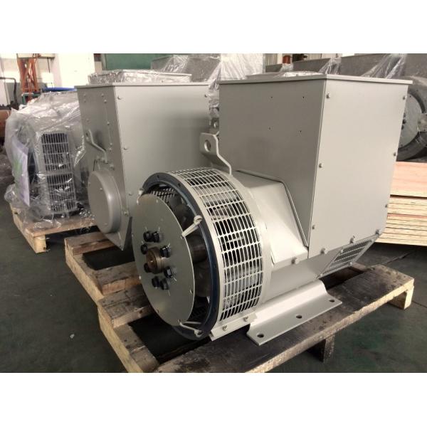 Small Brushless Alternator Manufacturers 196kw Brushless Alternator 60HZ