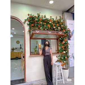 Home Office Folding Windows - Noise Isolation for Focus