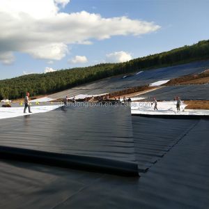 China 1.5mm HDPE Geomembrane Landfill Liner with Industrial Design Style and White Color on sale