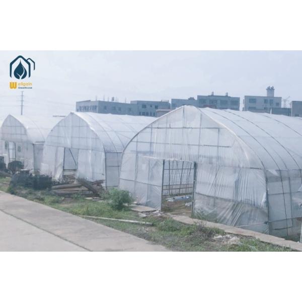Buy Hot Dip Galvanized Pipe High Tunnel Greenhouse Customizable Agriculture Greenhouse at wholesale prices