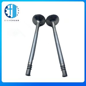 Intake Valve WP7 610800050049610800050049 For Weichai Truck Engine Part