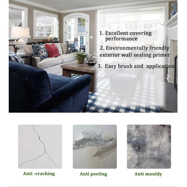 Brush Application Method Emulsion Water Repellent Waterproofing Agent for Building