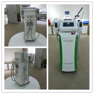 cryolipolysis -15 - 5 celcius cool tech lipocryo fat freezing vacuum device