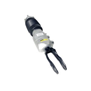 971616026C 971616037G Front Air Suspension Struts +Rear Air Suspension Spring