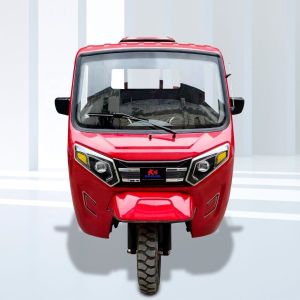 China Large Cargo Box 1000W Motor Cargo Tricycle for Heavy Load Transportation on sale