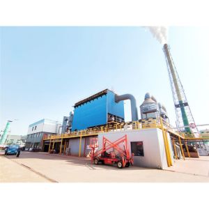Sludge Incineration Plant Treatment and Disposal / Sludge Combustion 380V/220V