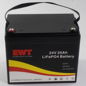 400Wh 24V Lithium Iron Phosphate Battery Suitable for -20°C To 45°C Environments
