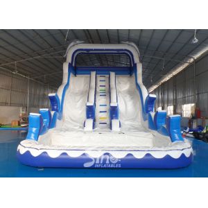 Double Lanes Inflatable dolphin Water Slides with pool EN14960 For Adults and