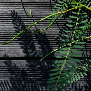 Sturdy Wood Plastic Composite Panel Boards Fireproof Lightweight