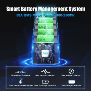 Lithium Triangle Ebike 52V 30Ah Trick Li-ion Battery Pack