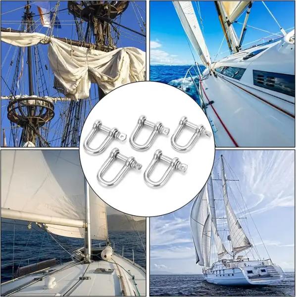 Hot Forged Polished Stainless Steel AISI304/316 D Shackle for Sailboats in Durability