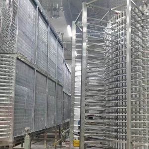 Quality Stainless Steel IQF Tunnel Freezer Customized Individual Quick Freezing Equipment for sale