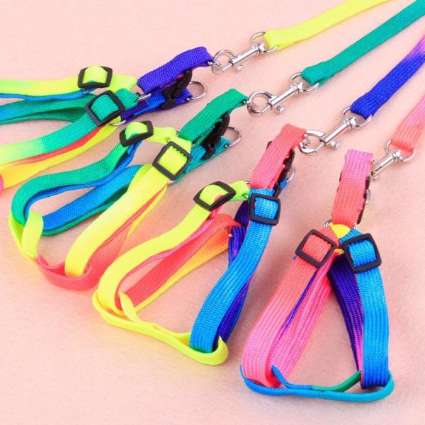 Colorful Pet Traction Rope Nylon Quick Release For Dog