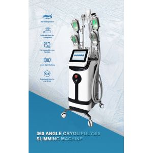 Cavitation Remove Cellulite Slimming Machine Cryolipolyse 360 Fat Freezing 40k