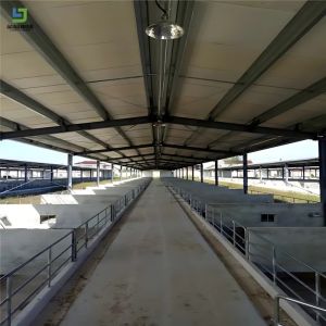 Versatile Design Steel Structure Hangar Cost Effective Quick Assembly