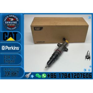 Diesel Engine Parts Common Rail Fuel Injector 20R-8067 for CAT C7 Diesel Engine