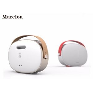 Quality Portable Music Bluetooth Speaker , Wireless Amazon Alexa Speaker 6000mAh Battery for sale