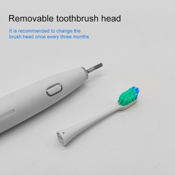 Buy Waterproof Unfolded 300g DC3.7V Rechargeable Electric Toothbrush at wholesale prices