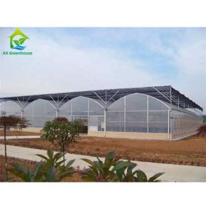 High Efficiency Agricultural Multi Span Greenhouse 200micro PE Film Covered