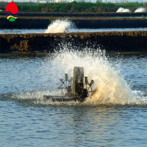 Custom Cut Pond Liner in Industrial Design Style with Thermoplastic HDPE