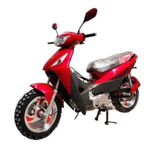 Bolivia 110cc 125cc 135cc motorcycle cub bike high quality ZS engine 4-stroke
