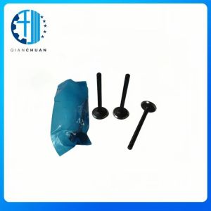 16484-13110 Engine Intake Valve IN For Kubota D1403 D1503 D1703 V1903 V2003