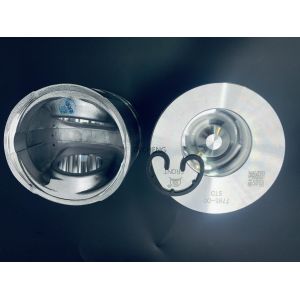 6D102 7795 6735-31-2111 51mm Piston Hydraulic Excavator Parts