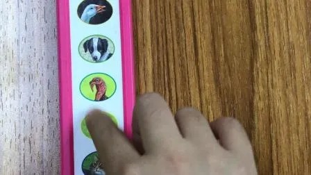 Educational Module Board Book with Remote Control Flash of Light for 3-8 Years