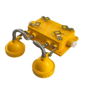 Rechargeable Explosion Proof Emergency Light With Double Emergency Light