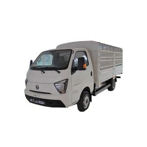 China s Popular Energy Truck FeiDi Ditu EF3 Pure Electric Truck with 250km Cruising Range on sale