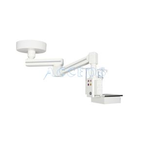 T·IAYI Two-armed Electrical Pendant