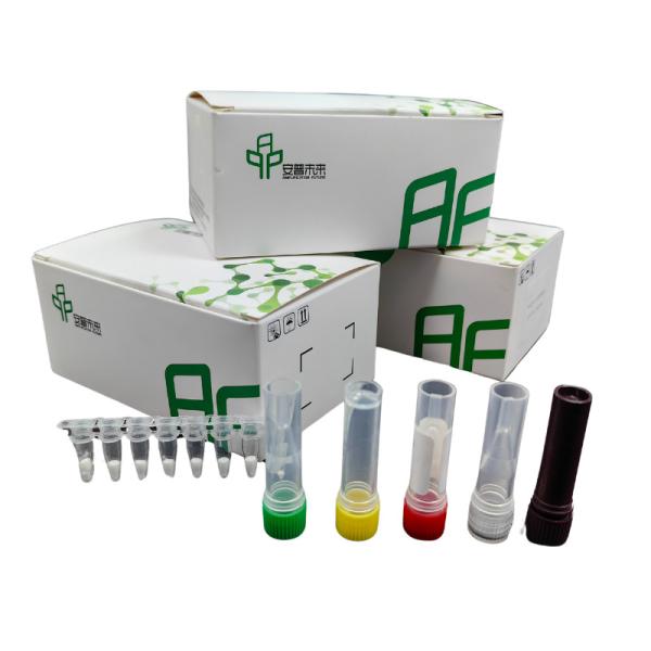 Simple And Efficient Serum Testing Solution Animal Transmissible Gastroenteritis