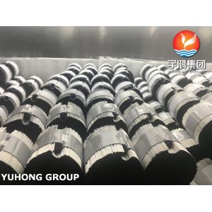 Bright Annealed Tube Needle Precision SS Capillary Tube​ TP304