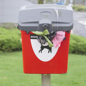 poop bags dog bags dog poop bags dog waste bags dog bags for poop doggy poop bags doggie bags