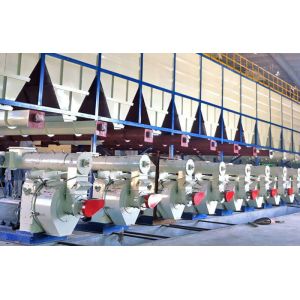 China Advanced Full Automatic Biomass Pellet Plant 10t/h on sale