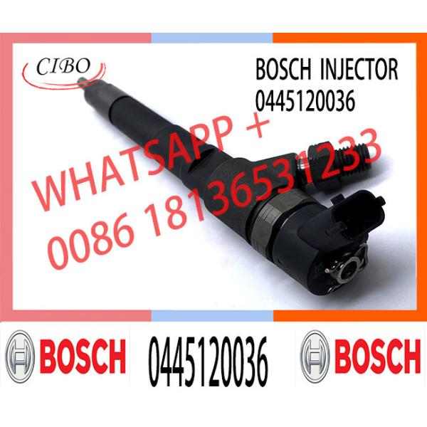 Common Rail Disesl Injector 0445120036 for BOSCH Daily 504047895 504086469 504113253