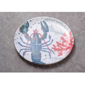 Toxic Free Shatterproof Round Melamine Plate Set