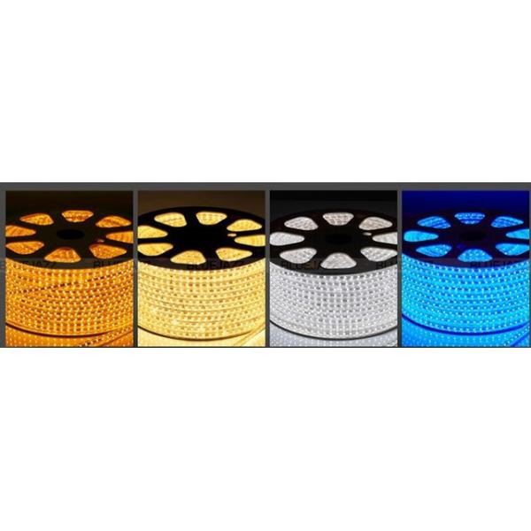 110V/220V High voltage 5050 led flexible strip light waterproof