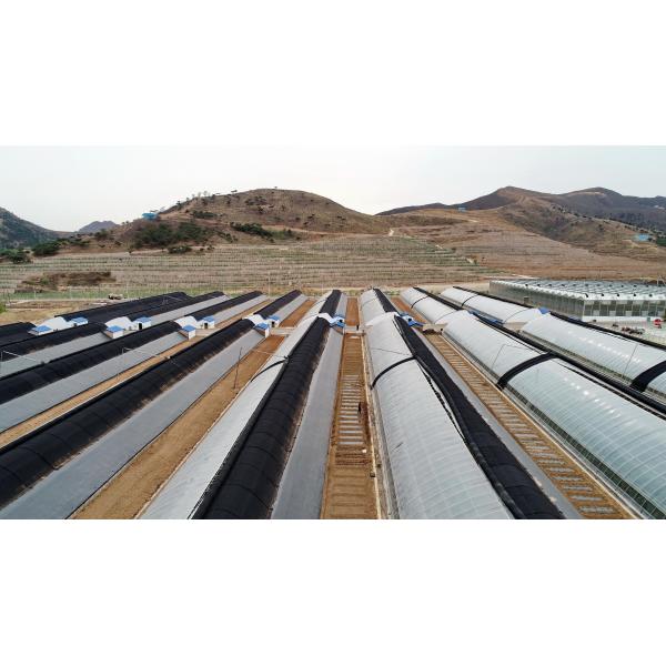 Buy 100% Polypropylene Advanced Technology Dustproof Pest Control Cheap Practical Nonwoven Fabrics For Agricultrual at wholesale prices