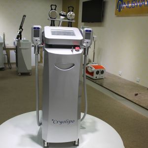 Cryo Fat Freezing Slimming fat removal/ Cryolipolysis Criolipolisis Cryotherapy