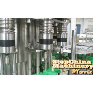 Stainless Steel Automatic Bottle Filling Machine With 12 Filling Heads