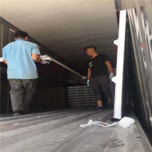 lightweight greywhite 50mm styrofoam sandwich panel for poultry farm