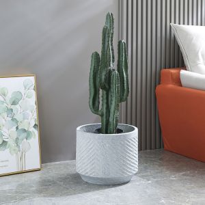 Stunning Plant Display With Fiber Clay Planters Durable And Stylish