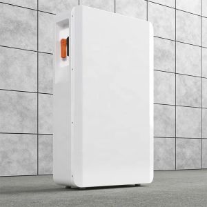 ODM Home Power Inverter Systems , Domestic Solar Inverter 54V