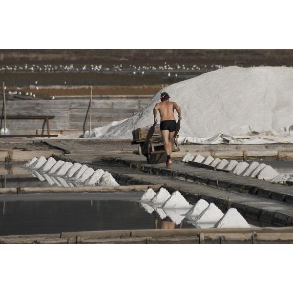 Sea Table Salt Powder Making Machine Salt Refinery Machine